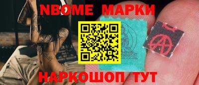 стафф Кингисепп