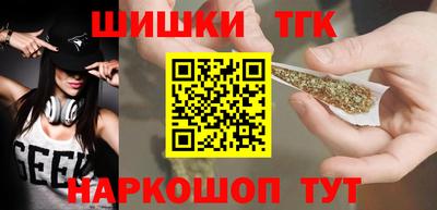 стафф Кингисепп