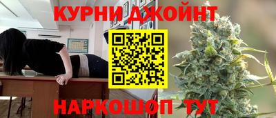 стафф Кингисепп