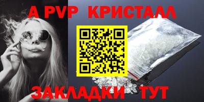 стафф Кингисепп