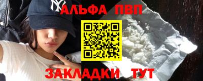 стафф Кингисепп